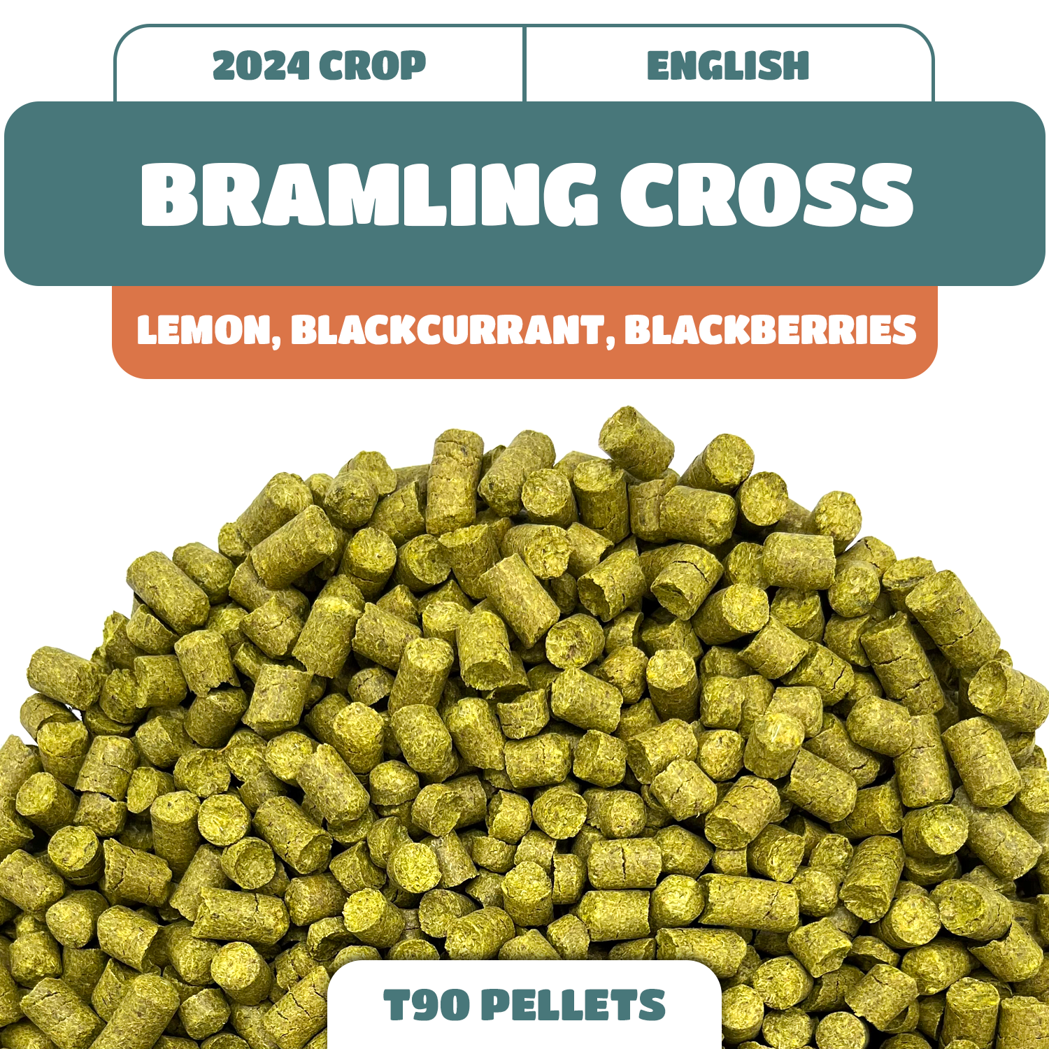 Bramling Cross UK Hop Pellets (2024)
