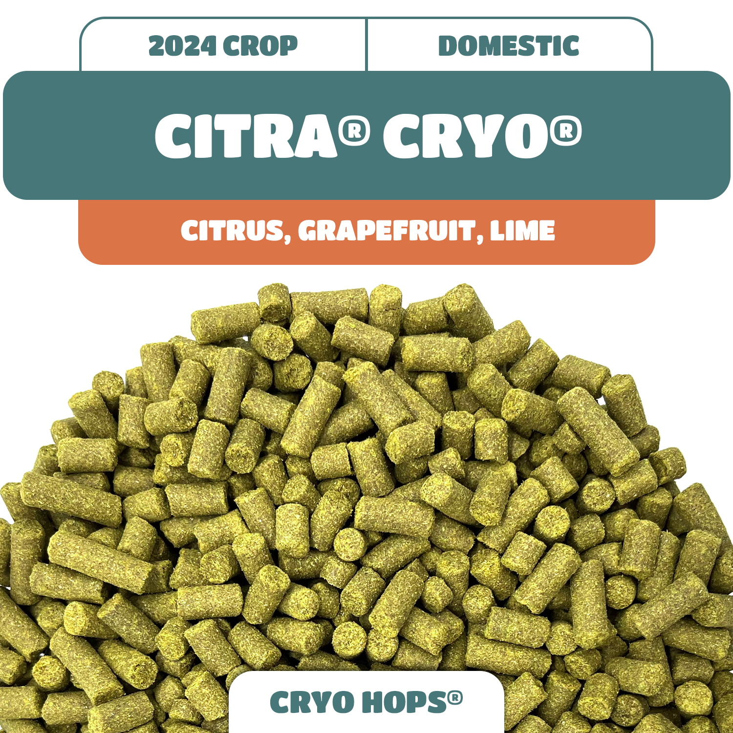Citra® Cryo Hop Pellets (2024)
