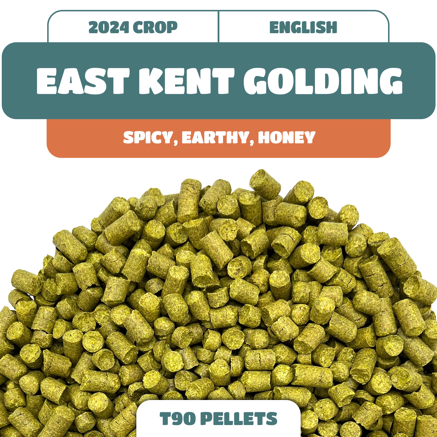 East Kent Golding EKG UK Hop Pellets (2024)