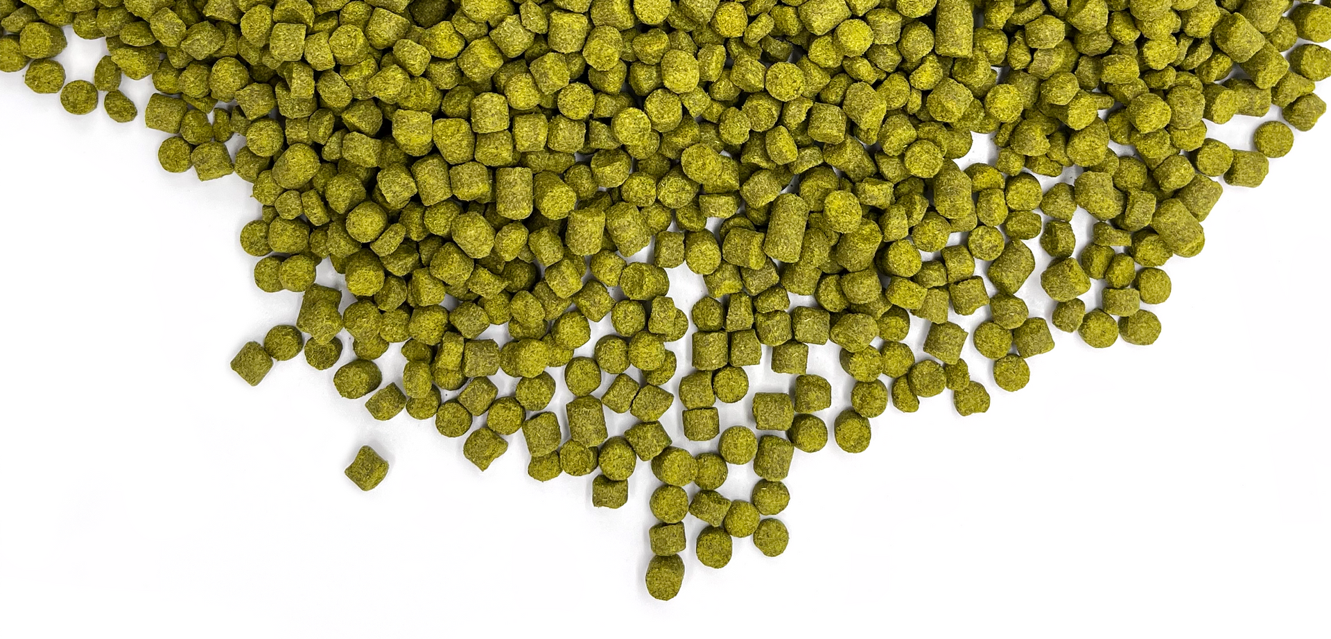 Buy Wholesale Bulk Hop Pellets Online