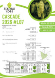 Cascade NZ "Taiheke" Hops (2026)