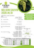 Nelson Sauvin™ Hops (2026)