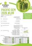 Pacific Gem NZ Hops (2026)