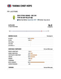Citra® Hops (2024)