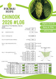 Chinook NZ Hops (2026)