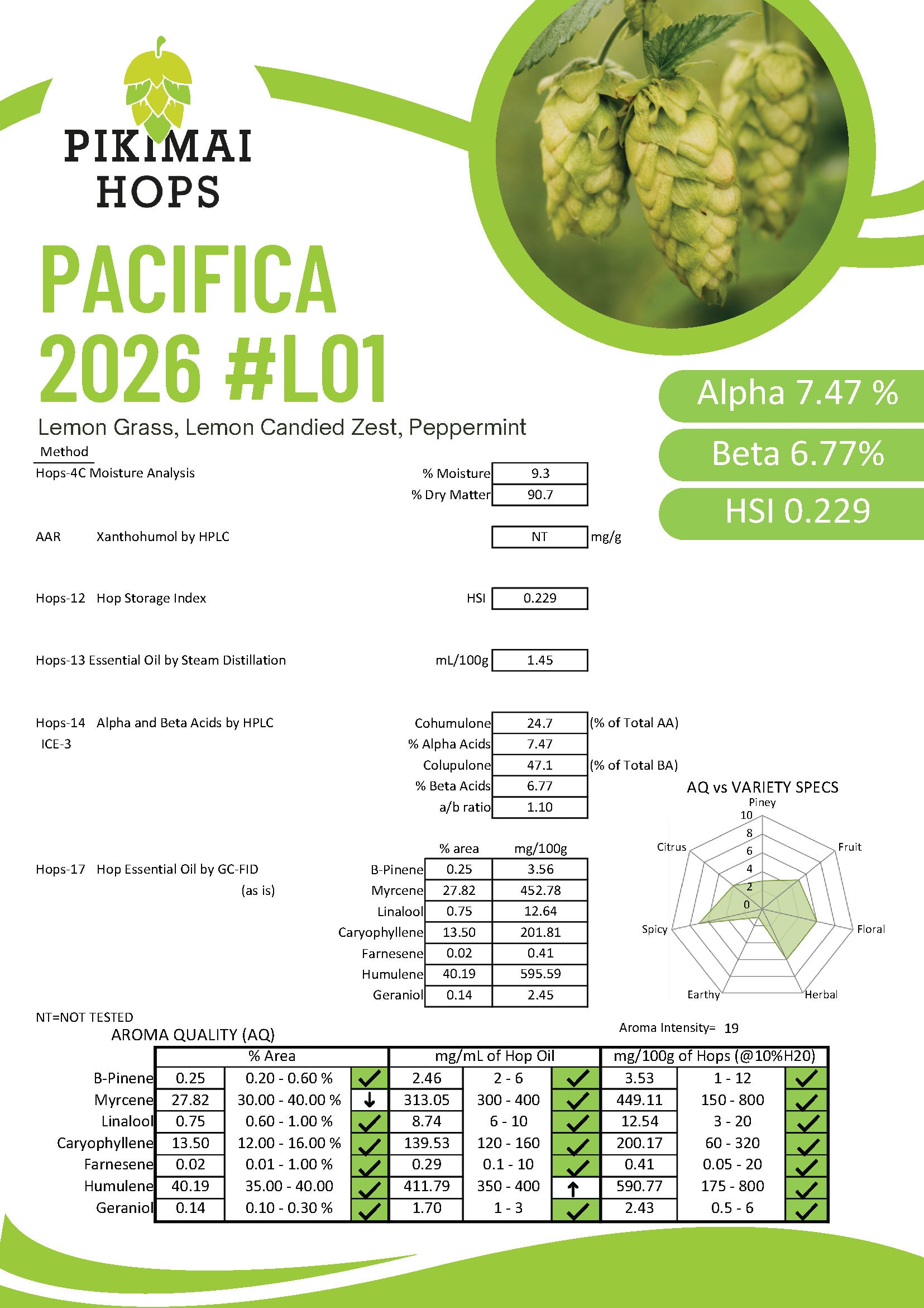 Pacifica Hop Pacifica NZ Hops (2026) – Hop Alliance