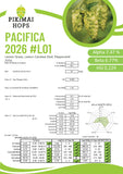 Pacifica NZ Hops (2026)