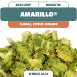 Amarillo® Whole Leaf Hops (2023)