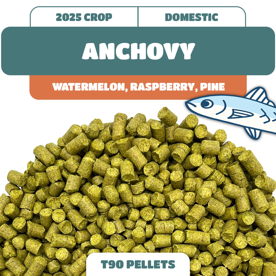 ANCHOVY-25_900x.png?v=1765938702
