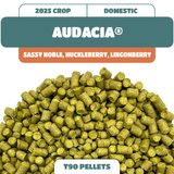 Audacia® Hop Pellets (2025)