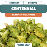 Centennial Whole Leaf Hops (2023)