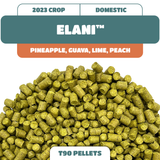 Elani (formerly YQH 1320)  Hop Pellets (2023)