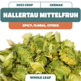 Hallertau Mittelfruh GR Whole Leaf Hops (2023)