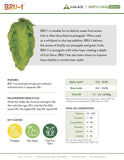 BRU-1™ Hop Pellets (2023)