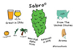 Sabro Hop Pellets (2025)