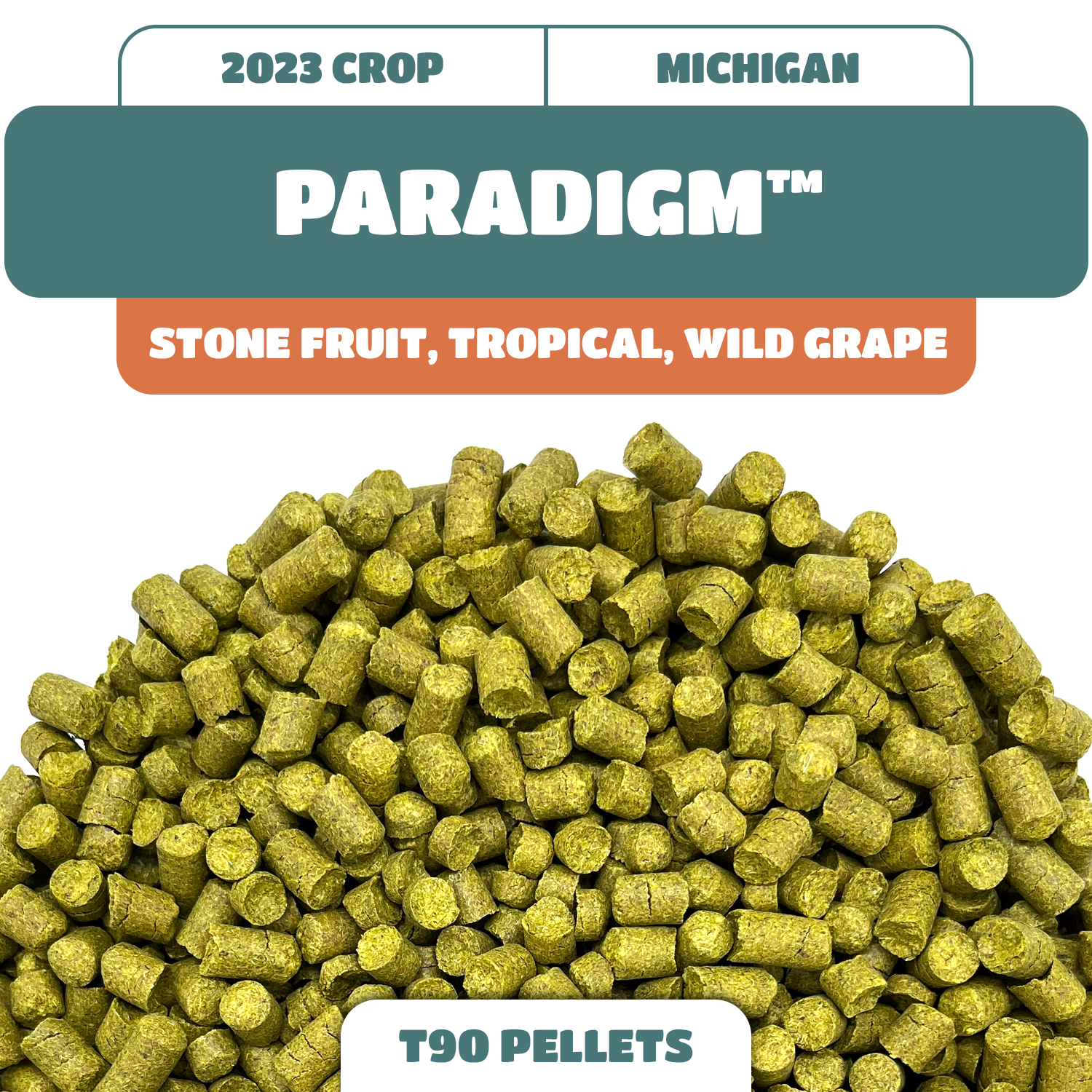 Paradigm™ MI Hop Pellets (2023) Michigan Grown!