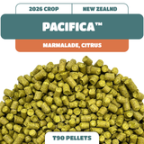 Pacifica NZ Hops (2026)