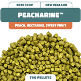 Peacharine™ NZ Hops (2025)