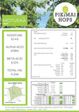 Motueka NZ Hop Pellets (2024)