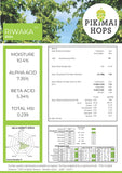 Riwaka NZ Hop Pellets (2024)