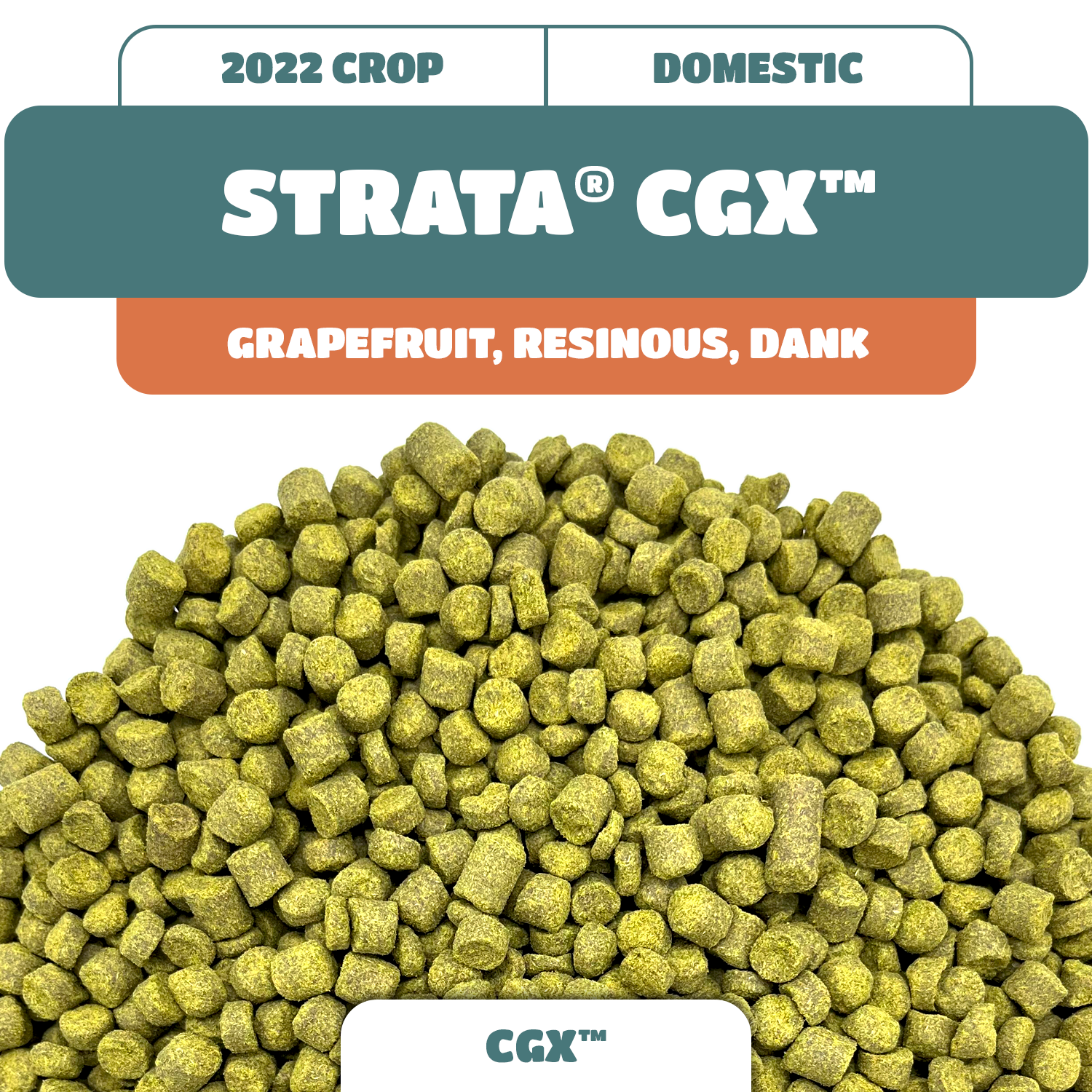 Strata® CGX™ Pellet Hops (2022) NEW!