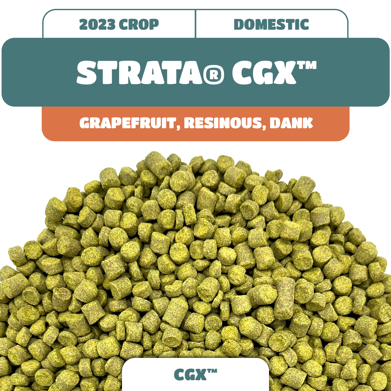 Strata® CGX Pellet Hops (2023)